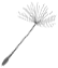 floating dandelion